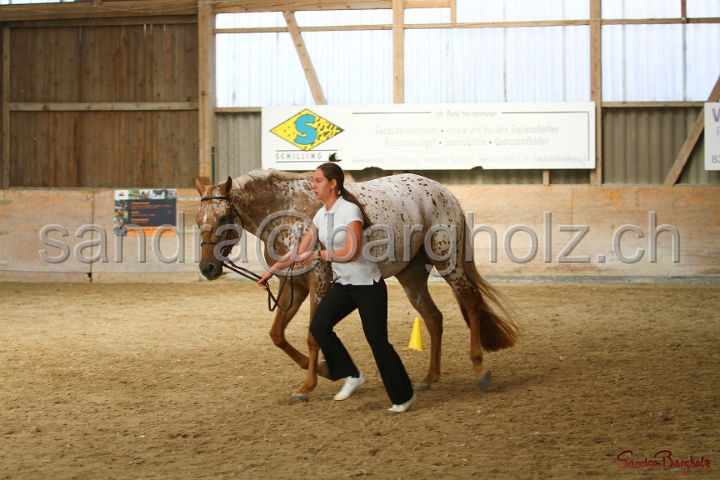 24-ApHC HIH_014.jpg